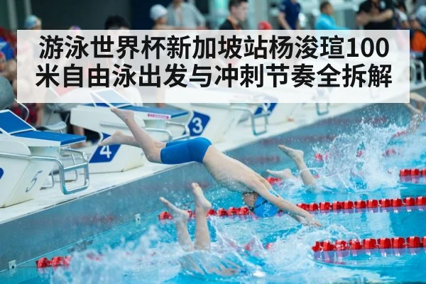 游泳世界杯新加坡站杨浚瑄100米自由泳出发与冲刺节奏全拆解